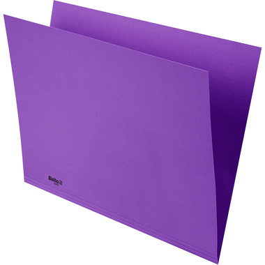 BIELLA Doss. vert. Recycolor 25342741U 32x23,3/24,3cm,lilas 100 pc.