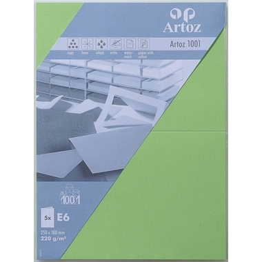 ARTOZ Cartes 1001 E6 107372263 220g, vert bouleau 5 feuilles