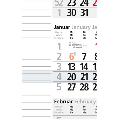 BÜHNER Calendrier de 3 mois 2026 M3KPNBL-R-FS ML 30x56cm