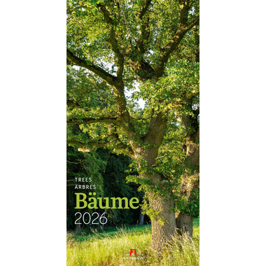 ACKERMANN Calendrier 2026 2620 Bäume ML 33x66cm