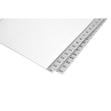 BIELLA Register PP A4 47145200U grau 1-52