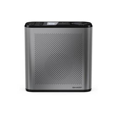 Sharp DAB+ Radio DR-P530 Grigio