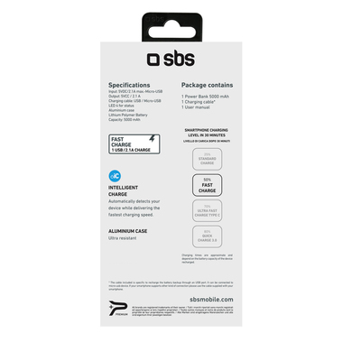 Batterie de secours à chargement rapide de 5 000 mAh