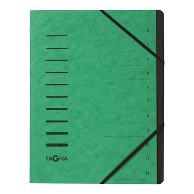 PAGNA Ordnungsmappe A4 40059-03 grün 12-teilig