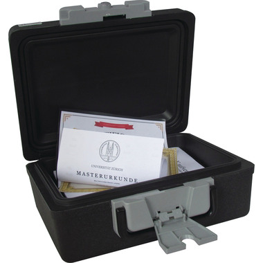 RIEFFEL SWITZERLAND Coffre-fort SecurityCase6 A17731 résistant au feu 389x300x165mm