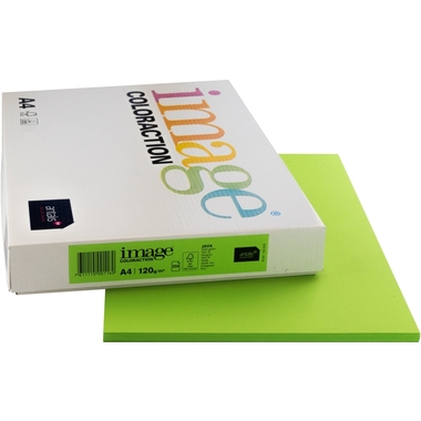 IMAGE COLORACTION Kopierpapier Java A4 266695 120g, maigrün 250 Blatt