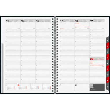 RIDOIDE Studioplan intl. Wire-O 2026 7023036806.26 1S/2P grigio ML 16.8x24cm