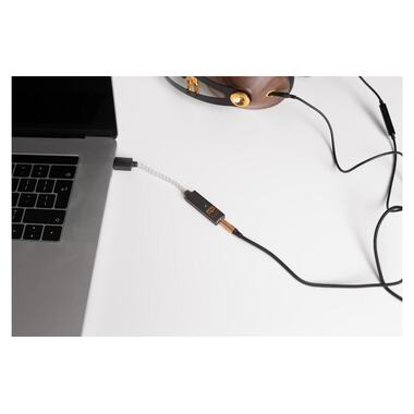 iFi Audio amplificatore per cuffie e DAC USB GO-Link