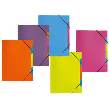 PAGNA Ordnungsmappe A4 41803-09 orange 5-teilig