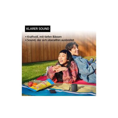 Sony Haut-parleur Bluetooth SRS-XB100 Noir