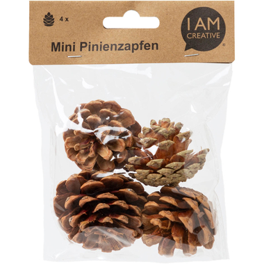 I AM CREATIVE Pigna 6102.871 mini 4 pezzi