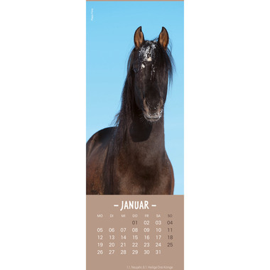 HEYE Calendario Cavalli 2026 21475+26 TE 6x18cm