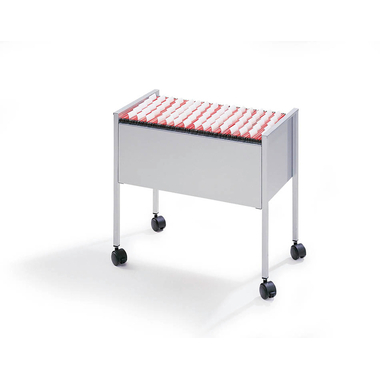 DURABLE Hängemappenboy Economy 309510 lichtgrau
