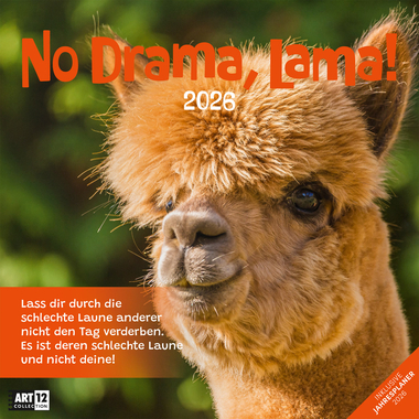 ACKERMANN Calendrier 2026 4627 No Drama, Lama ML 30x30cm