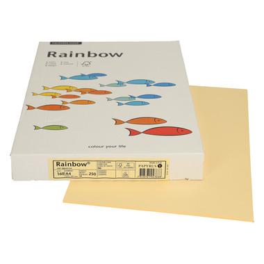 RAINBOW Papier chamois/06 A4 88043124 160g, chamois 250 Blatt