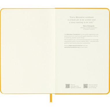 MOLESKINE Taccuino Color 9x14cm 56598853063 arancione, rigato, 192 p.