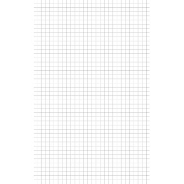 BÜROLINE Quaderno E6 533876020 4mm quadr. senza bordo 90g