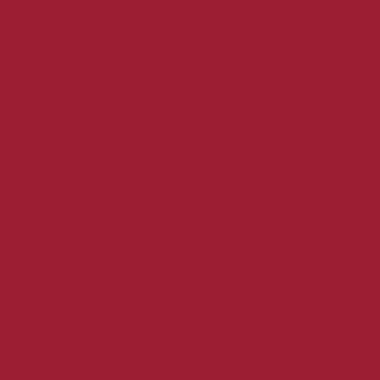 TALENS Gouache 1000ml 09713180 karmin
