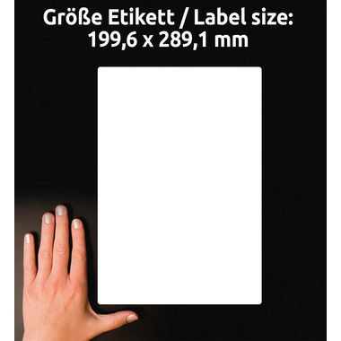 AVERY ZWECKFORM Etiquettes adr. 199,6x289,1mm J8167-25 blanc 25 pcs.