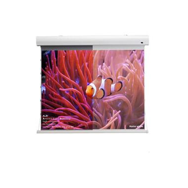 Celexon Écran mural à tension HomeCinema Dynamic Slate ALR 265x149cm 16:9