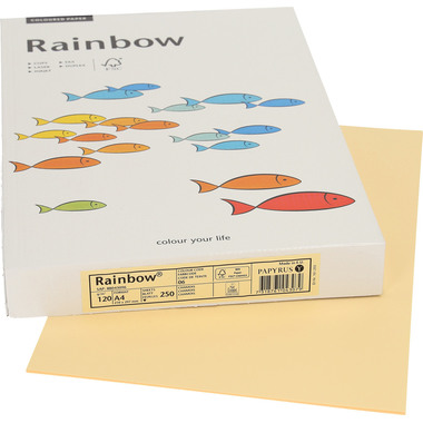 RAINBOW Carta chamois/06 A4 88043096 FSC, 120g 250 fogli