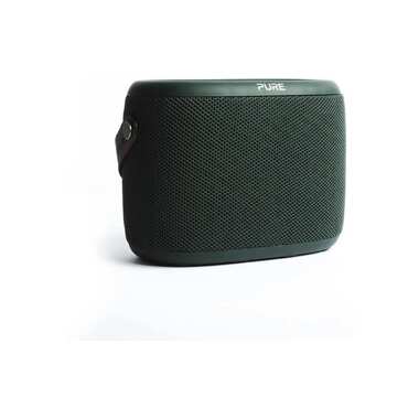 Pure Radio Woodland Grün