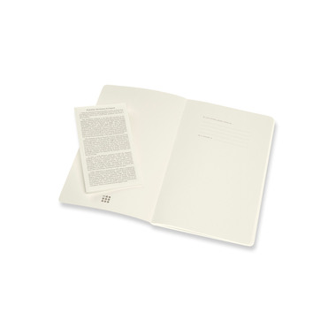 MOLESKINE Notizheft 2x 21x13cm 620596 liniert,feilchen/bernst.,96S.