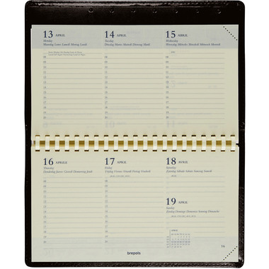 BREPOLS Agenda Ominplan Palermo 2027 0.738.3302 1W/2S braun 16x8.9cm