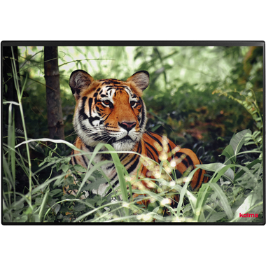 KOLMA Schreibunterlage 50x34cm 35.573.20 Tiger