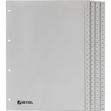 HETZEL Register PP A4 721311 grau 1-100