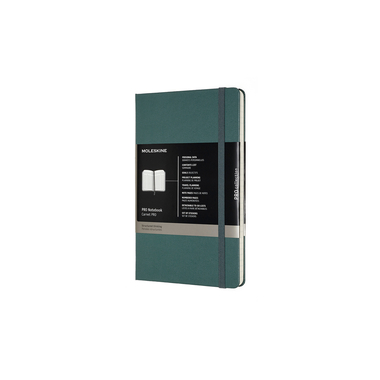 MOLESKINE Taccuino 21x13cm 620763 verde, 240 pagine