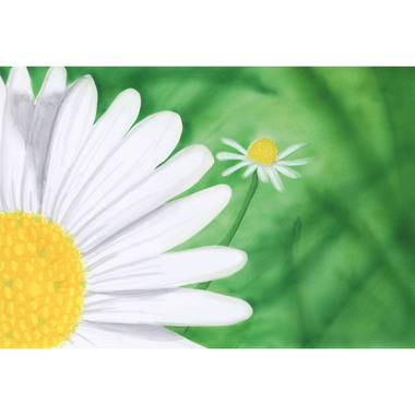 COPIC Marker Classic 20075703 Environment, 12 pcs.