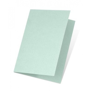 ARTOZ Cartes 1001 A5 107392263 220g, menthe 5 feuilles