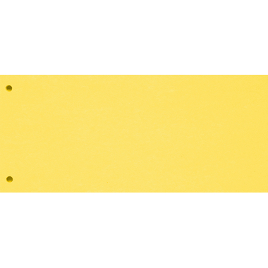 BIELLA Divisori cartone 2 fori 19919020U giallo, 24x10.5cm 100 pezzi