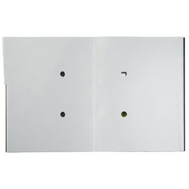 LEITZ Ordnungsmappe Recycle A4 3915-00-95 schwarz, Karton 12 Fächer