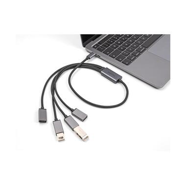 Delock USB Hub USB 2.0 - 4x USB-A, USB Type-C, 60 cm