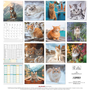 ALPHA EDITION Bildkalender 2026 160298 Katzen ML 30x30cm