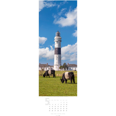 WEINGARTEN Calendario 2026 2951500+26 Leuchttürme DE 34x98cm