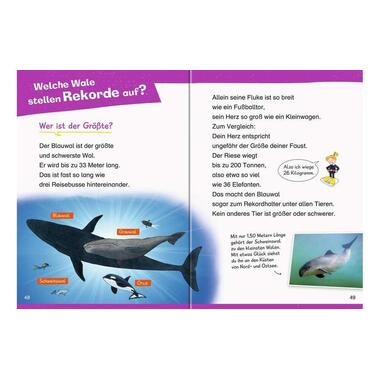 Ravensburger Livres pratiques pour enfants WWW Erstleser: Wale und Delfine