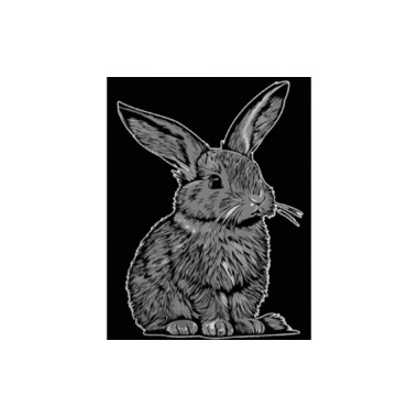 Tataruga Collage A4, Rabbit