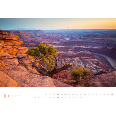 ACKERMANN Bildkalender 2026 3614 Planet Earth DE/E 66x50cm