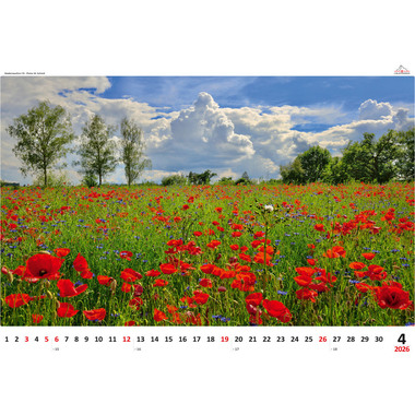 CALENDARIA Calendrier 2026 9783036205250 Impressionen ML 48x33cm