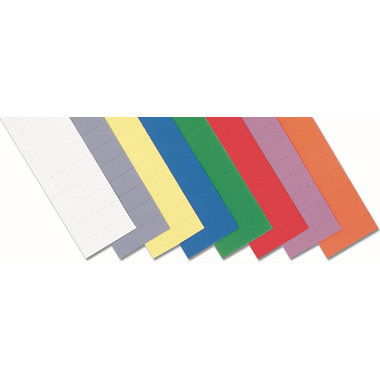 MAGNETOPLAN Ferrocard Etichette 50x10mm 12844 assort. 246 pezzi