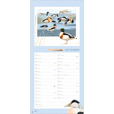 HEYE Pianificatore 2026 1402+26 Bastin Wunder Natur 21x45cm