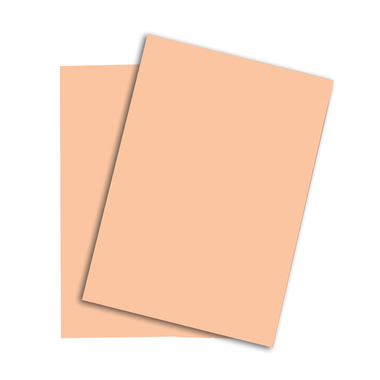 PAPYRUS Rainbow Paper FSC A4 88043133 160g, lachs 250 fogli