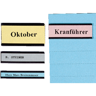 BEREC Magnetetikettenträger 10x60mm ET 16/20 U-Profil 20 Stück