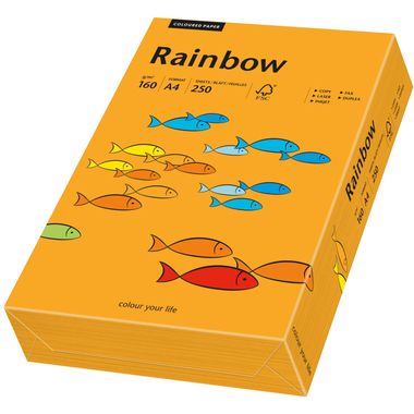 RAINBOW Papier orange/24 A4 88042439 FSC, 160g 250 Blatt
