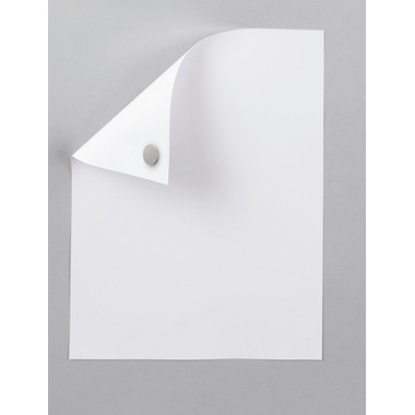 MAUL Aimants Neodym 7.15 10x1mm, 0,5kg, 20 pcs./Set