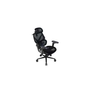 ThunderX3 Bürostuhl FLEX Pro Schwarz