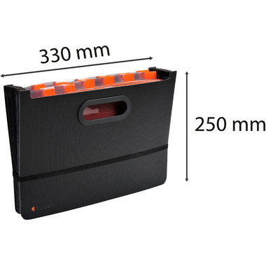 EXACOMPTA Fächermappe Exadesk Exactive 58934E 24 Fächer A4